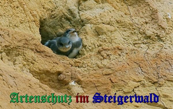 Copyright AiS / 2009 Dieter Schuphan Bild zum Eintrag (29786-160)