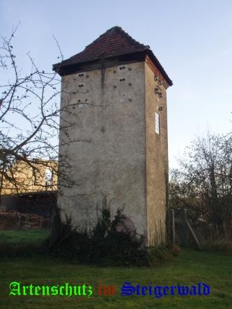 Copyright AiS / Manfred Wurm Bild zum Eintrag (29828-160)