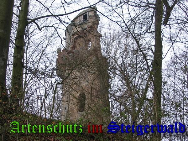 Bild zum Eintrag (29868-160)