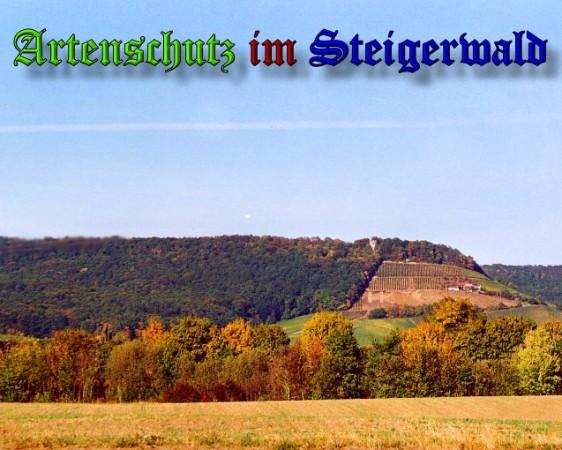 Bild zum Eintrag (29874-160)