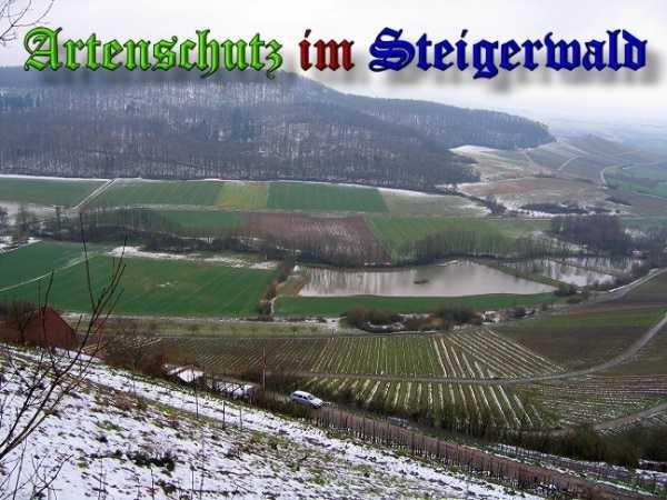 Bild zum Eintrag (29876-160)