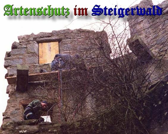 Copyright AiS / 2004 Köhler Bild zum Eintrag (29879-160)