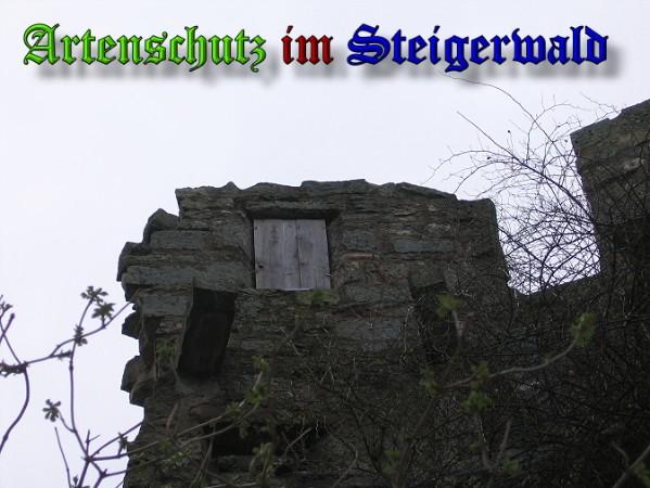 Copyright AiS / 2004 Köhler Bild zum Eintrag (29881-160)
