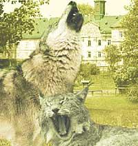 Copyright AiS / 2008 - Wildpark Schloss Tambach Bild zum Eintrag (30417-160)