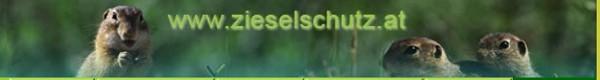 Copyright AiS / 2010 - www.zieselschutz.at Bild zum Eintrag (30432-160)