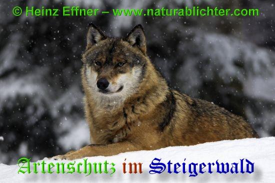 Copyright AiS / 2009 - Heinz Effner - www.naturablichter.com Bild zum Eintrag (30442-160)