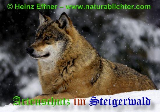 Copyright AiS / 2009 - Heinz Effner - www.naturablichter.com Bild zum Eintrag (30447-160)