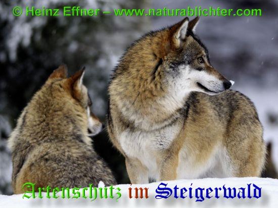Copyright AiS / 2009 - Heinz Effner - www.naturablichter.com Bild zum Eintrag (30448-160)