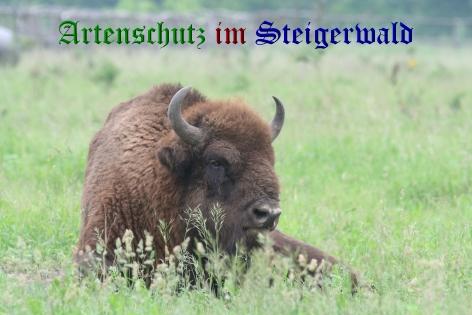 Copyright AiS / Uwe Lindner Bild zum Eintrag (30454-160)