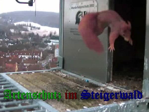 Copyright AiS / 2010 Wörner Bild zum Eintrag (30473-160)