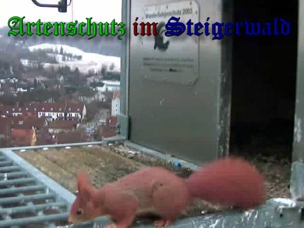 Copyright AiS / 2010 Wörner Bild zum Eintrag (30474-160)