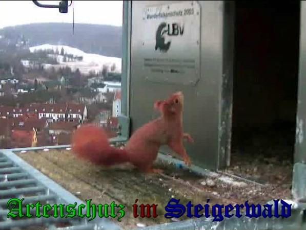 Copyright AiS / 2010 Wörner Bild zum Eintrag (30476-160)