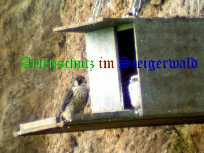 Copyright AiS / Eckert Bild zum Eintrag (30507-160)