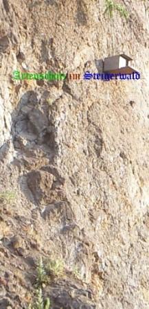 Copyright AiS / Eckert Bild zum Eintrag (30508-160)