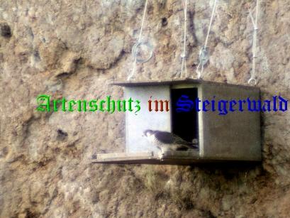 Copyright AiS / Eckert Bild zum Eintrag (30511-160)