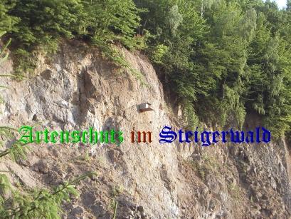 Copyright AiS / Eckert Bild zum Eintrag (30514-160)