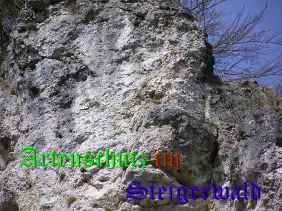 Copyright AiS / Kunze Bild zum Eintrag (30517-160)