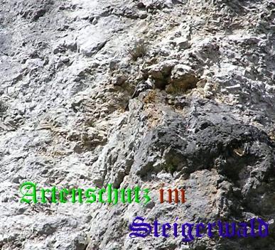 Copyright AiS / Kunze Bild zum Eintrag (30519-160)