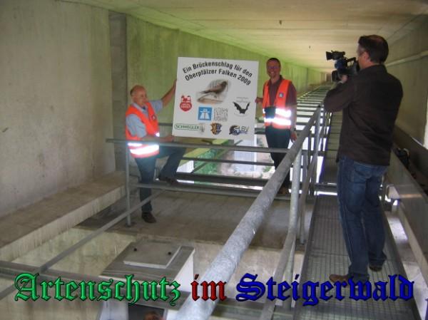 Copyright AiS / 2009 Bild zum Eintrag (30556-160)