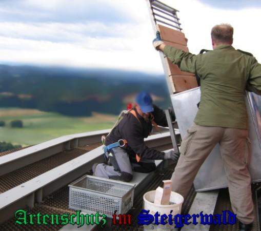 Copyright AiS / 2009 Weidner / Köhler Bild zum Eintrag (30575-160)