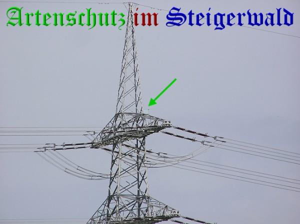 Copyright AiS / 2010 Bild zum Eintrag (30586-160)