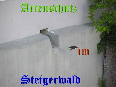Copyright AiS / Kunze Bild zum Eintrag (30610-160)