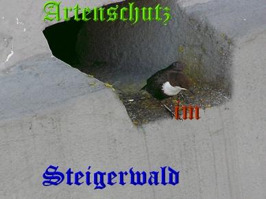 Copyright AiS / Kunze Bild zum Eintrag (30614-160)