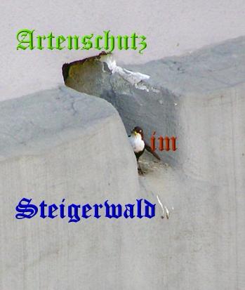 Copyright AiS / Kunze Bild zum Eintrag (30615-160)