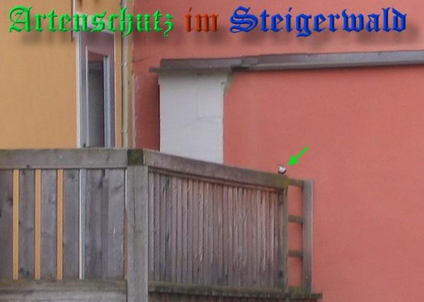 Copyright AiS / 2009 M. Schmitt Bild zum Eintrag (30619-160)