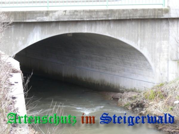 Bild zum Eintrag (30627-160)