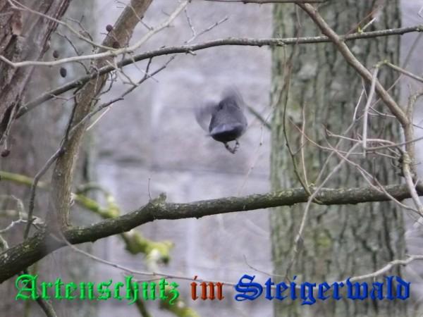 Bild zum Eintrag (30629-160)