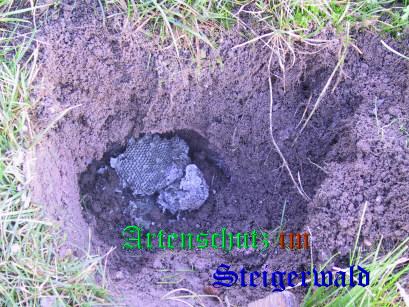 Copyright AiS / 2008 Greb Bild zum Eintrag (30666-160)