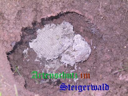 Copyright AiS / 2008 Greb Bild zum Eintrag (30667-160)