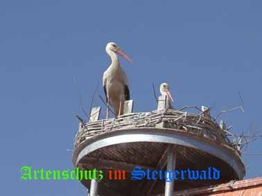 Copyright AiS / Hachinger Bild zum Eintrag (30686-160)