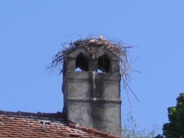 Copyright AiS / Köhler Bild zum Eintrag (30697-160)