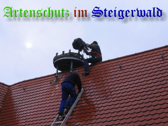 Copyright AiS / 2009 Köhler Bild zum Eintrag (30734-160)