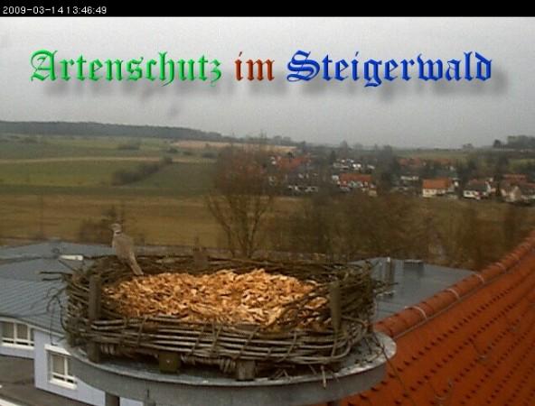 Copyright AiS / 2009 Weidner Bild zum Eintrag (30743-160)