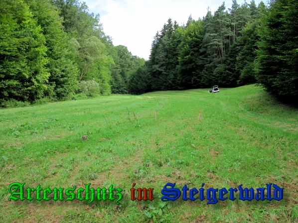 Bild zum Eintrag (30905-160)