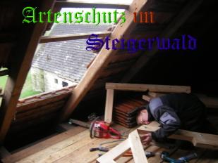 Copyright AiS / Stöcklein Bild zum Eintrag (31300-160)