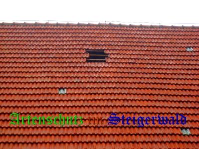 Copyright AiS / Güttler Bild zum Eintrag (31310-160)