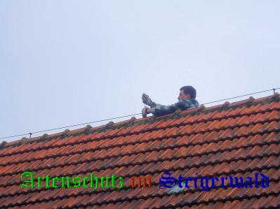 Copyright AiS / Güttler Bild zum Eintrag (31312-160)