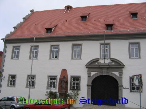 Copyright AiS / Weidner K. Bild zum Eintrag (31325-160)