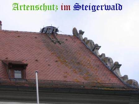 Copyright AiS / Köhler Bild zum Eintrag (31335-160)