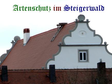 Copyright AiS / Weidner Bild zum Eintrag (31338-160)