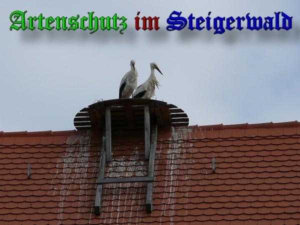 Copyright AiS / 2010 Köhler Bild zum Eintrag (31341-160)