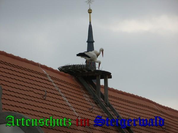 Copyright AiS / 2010 Zipfel Bild zum Eintrag (31346-160)