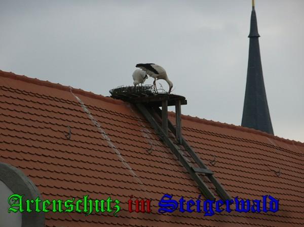 Copyright AiS / 2010 Zipfel Bild zum Eintrag (31347-160)