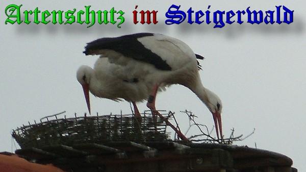Copyright AiS / 2010 Weidner Bild zum Eintrag (31348-160)