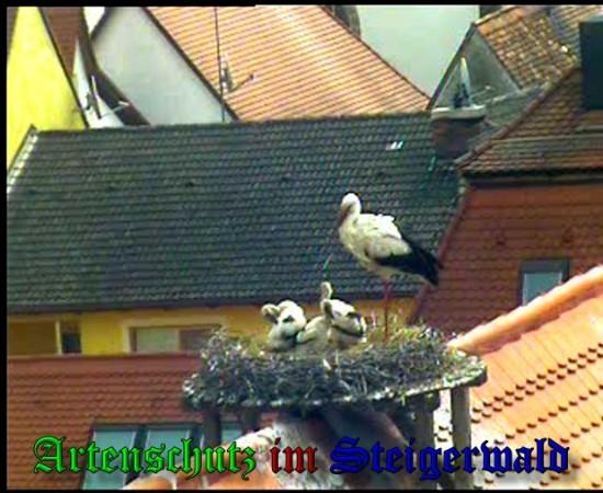 Copyright AiS / 2010 Bild zum Eintrag (31351-160)