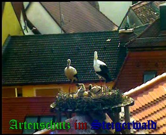 Copyright AiS / 2010 Bild zum Eintrag (31352-160)